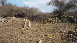 2-Revitalizace zdevastovaného hřbitova ve Svatoboru             